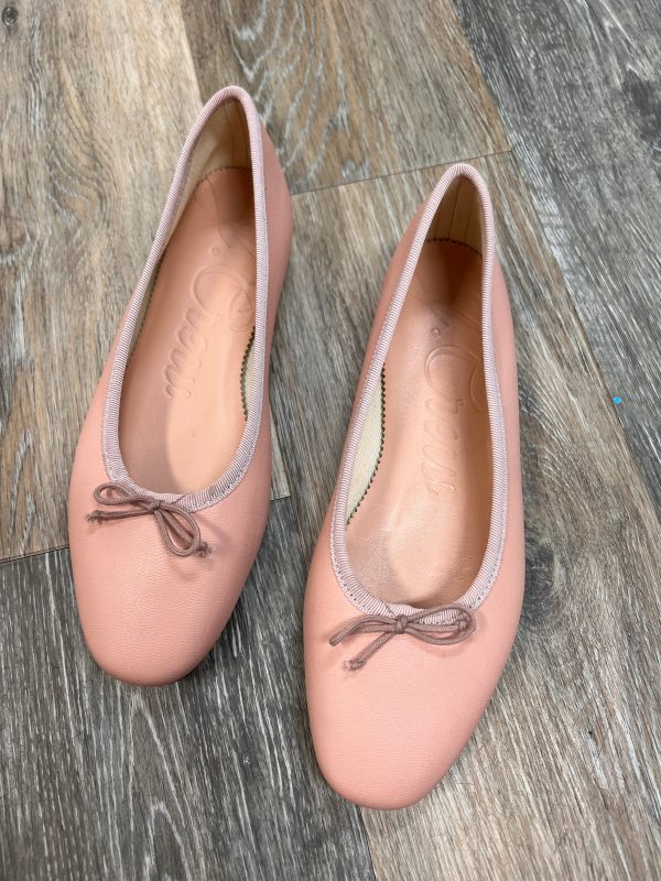 Shoes Flats By J. Crew In Pink, Size: 6 Fashion