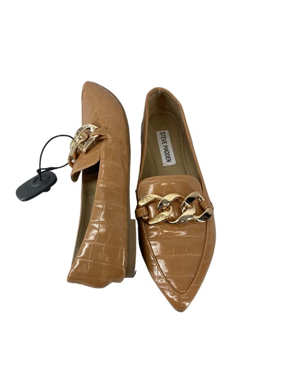 Brown Shoes Flats Steve Madden, Size 6.5 Fashion