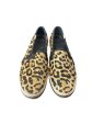 Animal Print Shoes Sneakers Kate Spade, Size 6.5 Hot on Sale