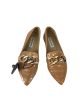 Brown Shoes Flats Steve Madden, Size 6.5 Fashion