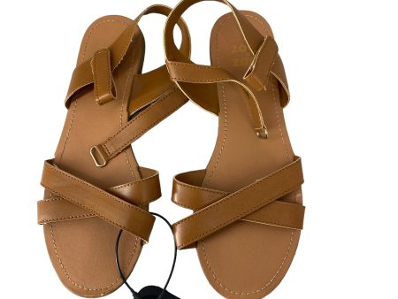 Brown Sandals Flats Clothes Mentor, Size 6 Online now