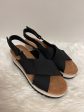 Black Shoes Heels Block Toms, Size 7 For Discount